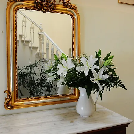 ゲストハウス Omiros エルムポリ