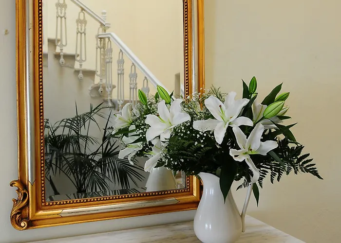 게스트하우스 Omiros 에르무폴리